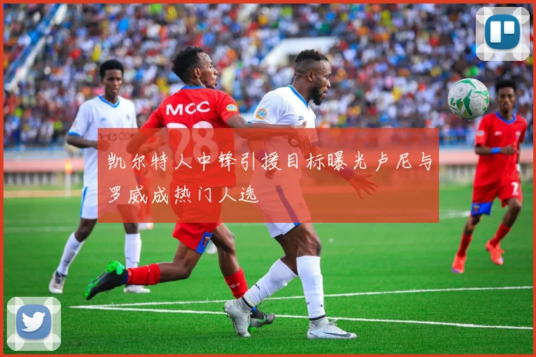 凯尔特人中锋引援目标曝光卢尼与罗威成热门人选